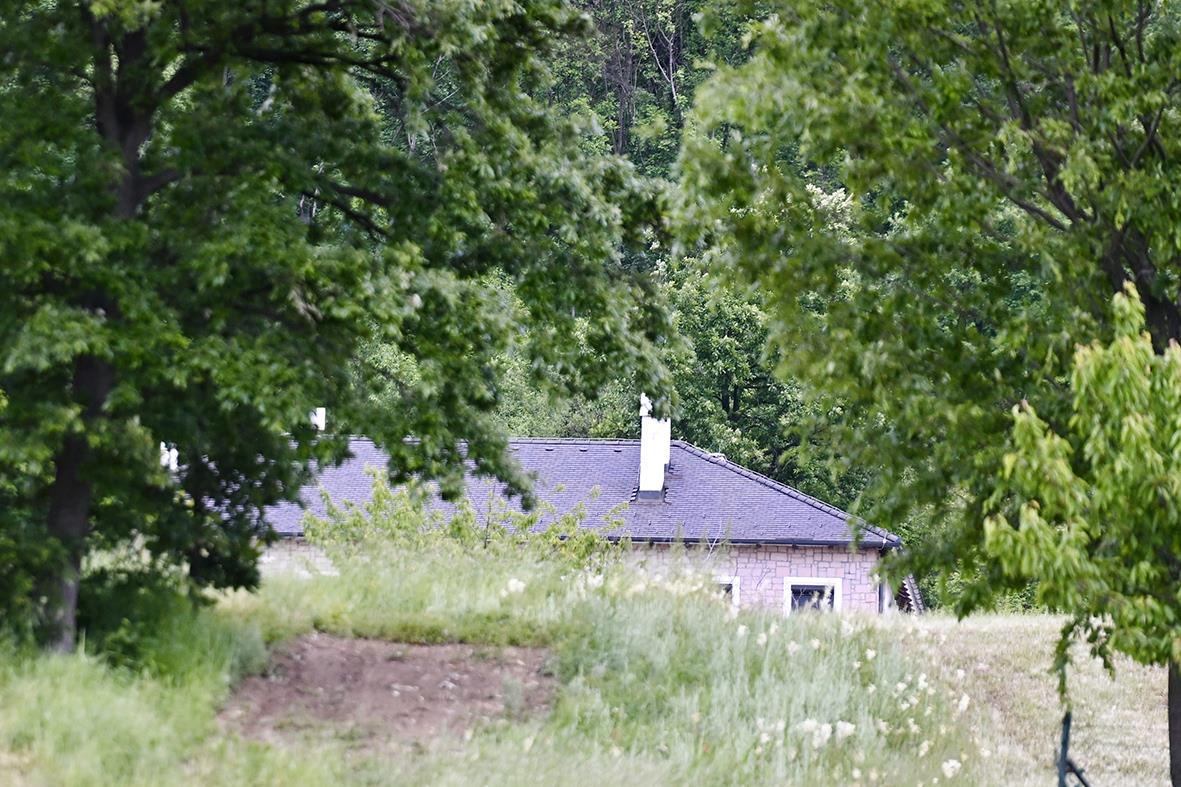 1603 marko karovic (5).jpeg