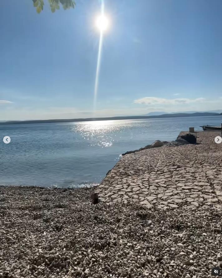 Anđelka Stević Žugić.jpg