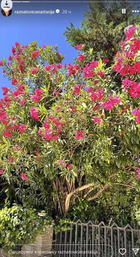 Anastasija Jovanović