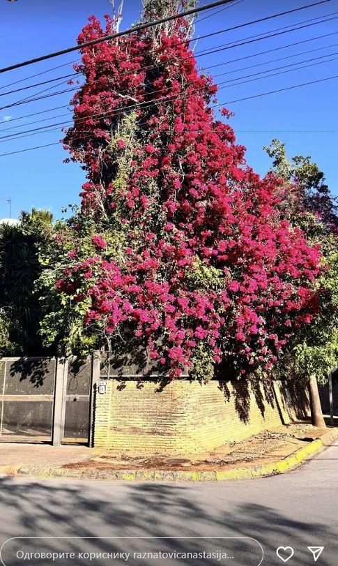 2025-05-17 08_39_39-Greenshot capture form.jpg