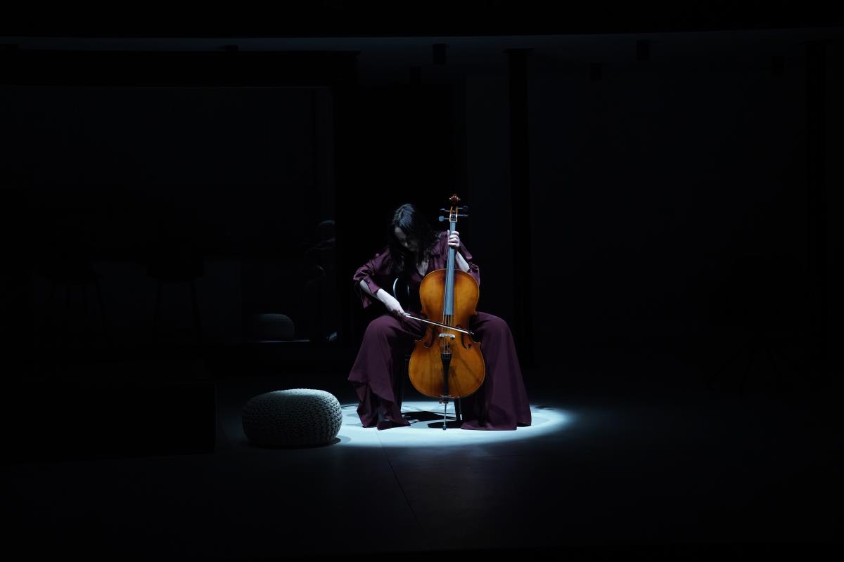 HEDA GABLER foto Nebojša Babić (6).jpg