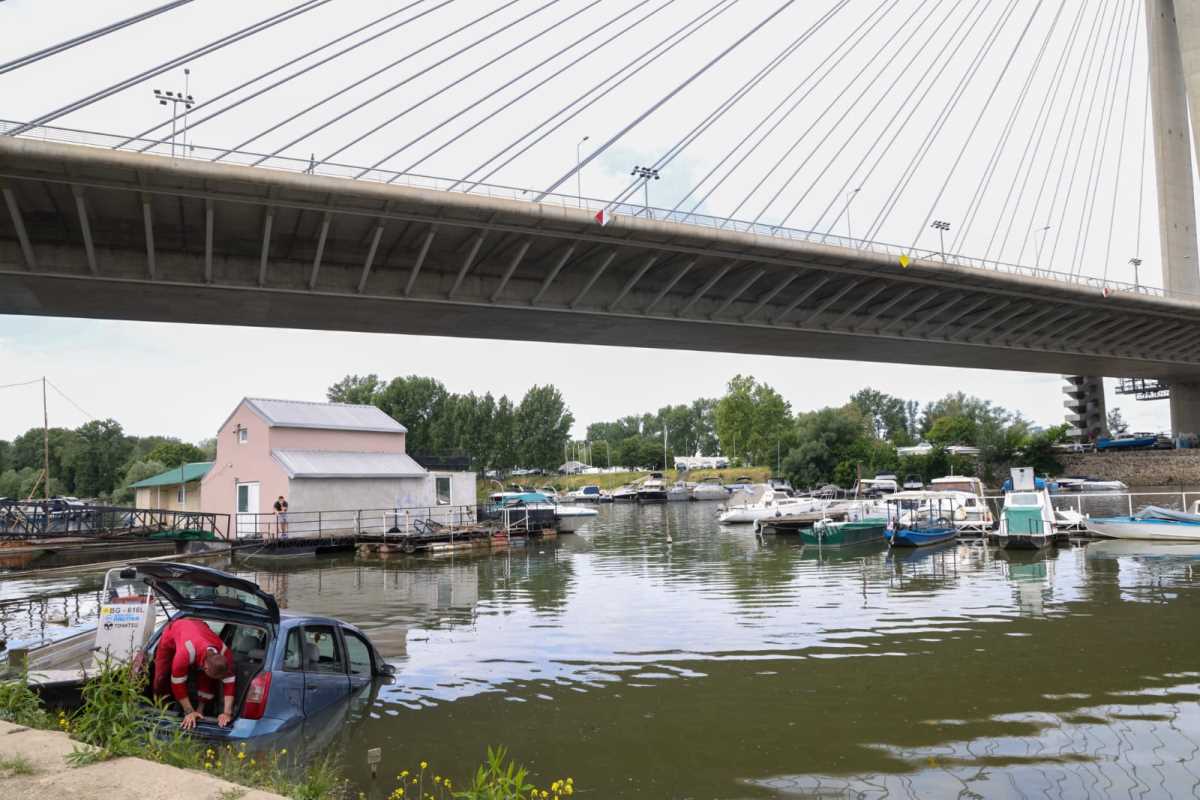 WhatsApp Image 2025-05-18 at 11.34.12 AM.jpeg