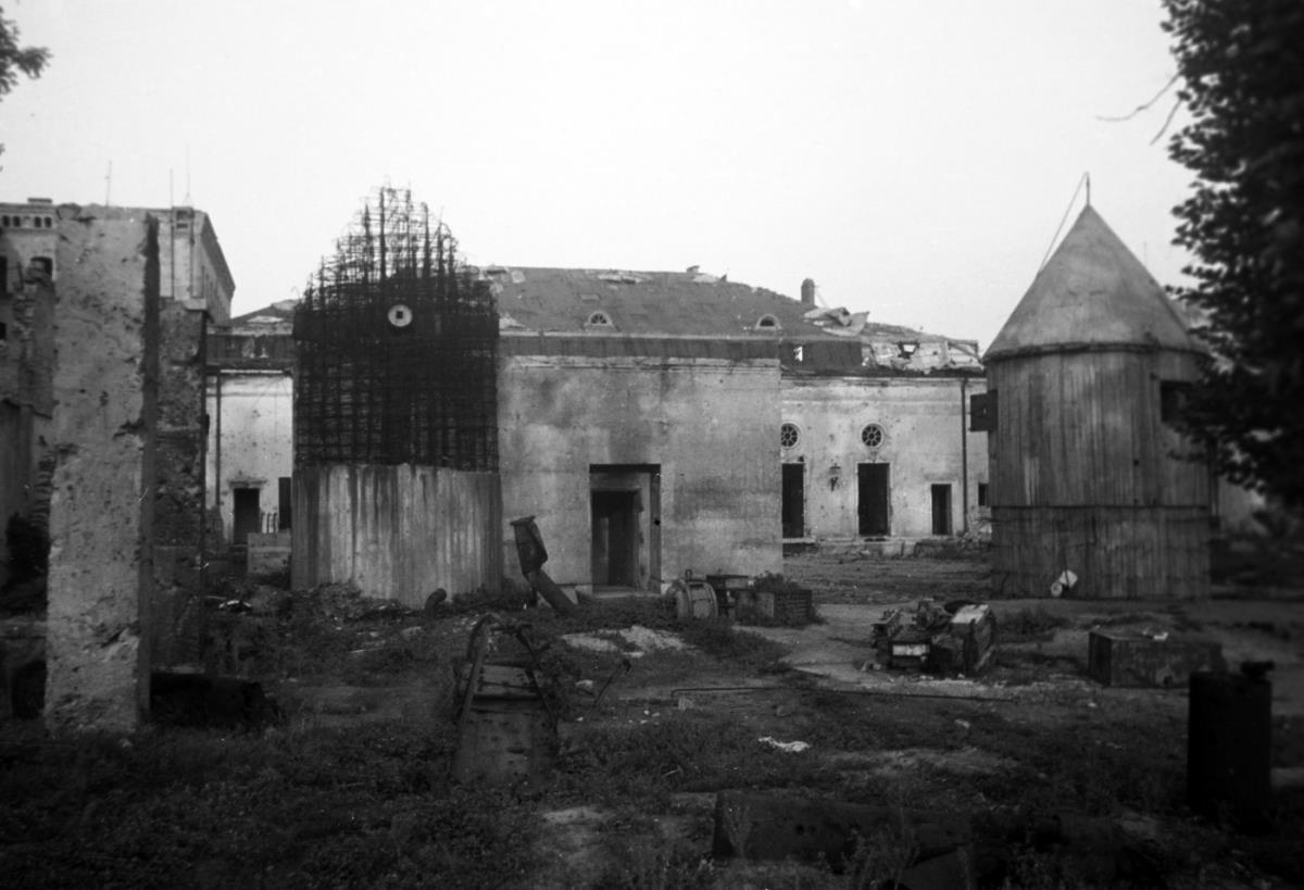 profimedia-0698708351 (1).jpg