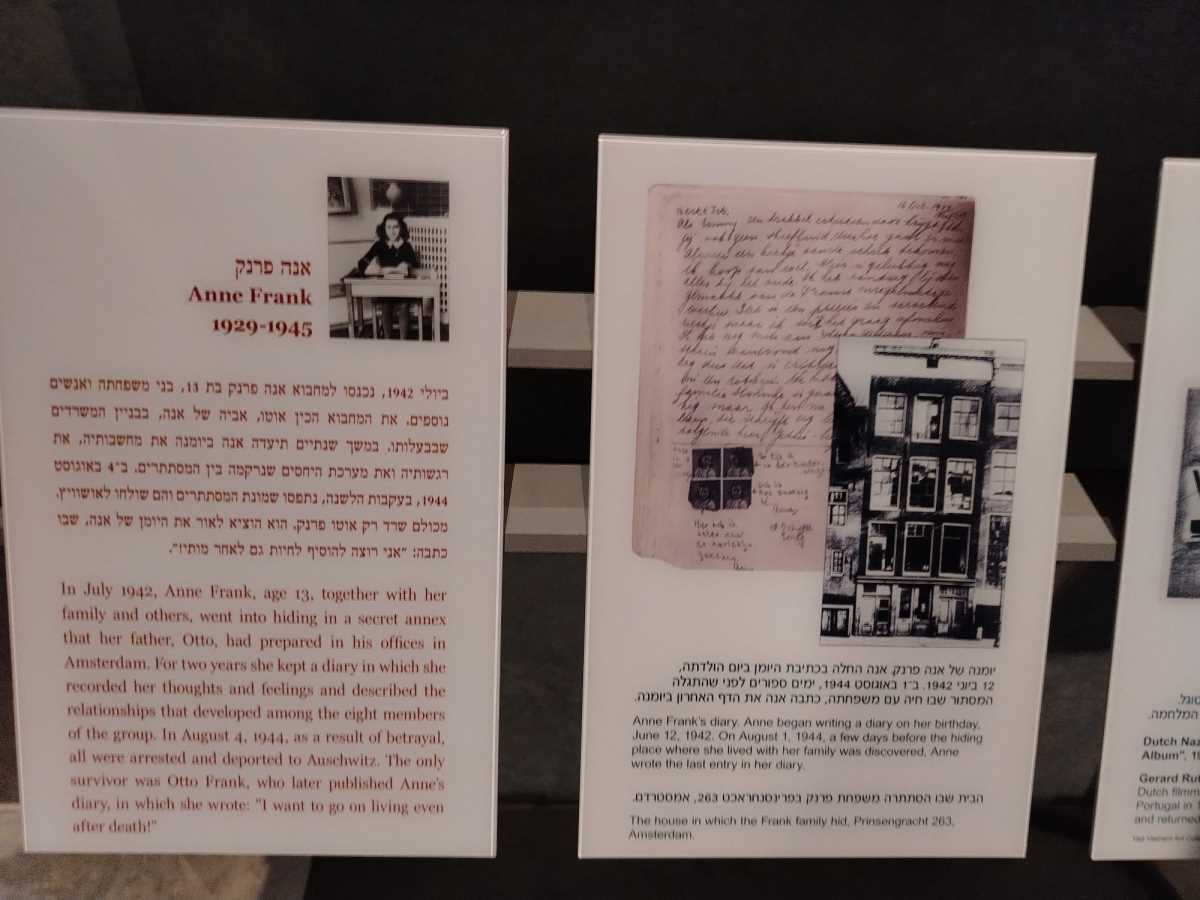 WhatsApp Image 2025-05-19 at 11.32.57 AM (1).jpeg