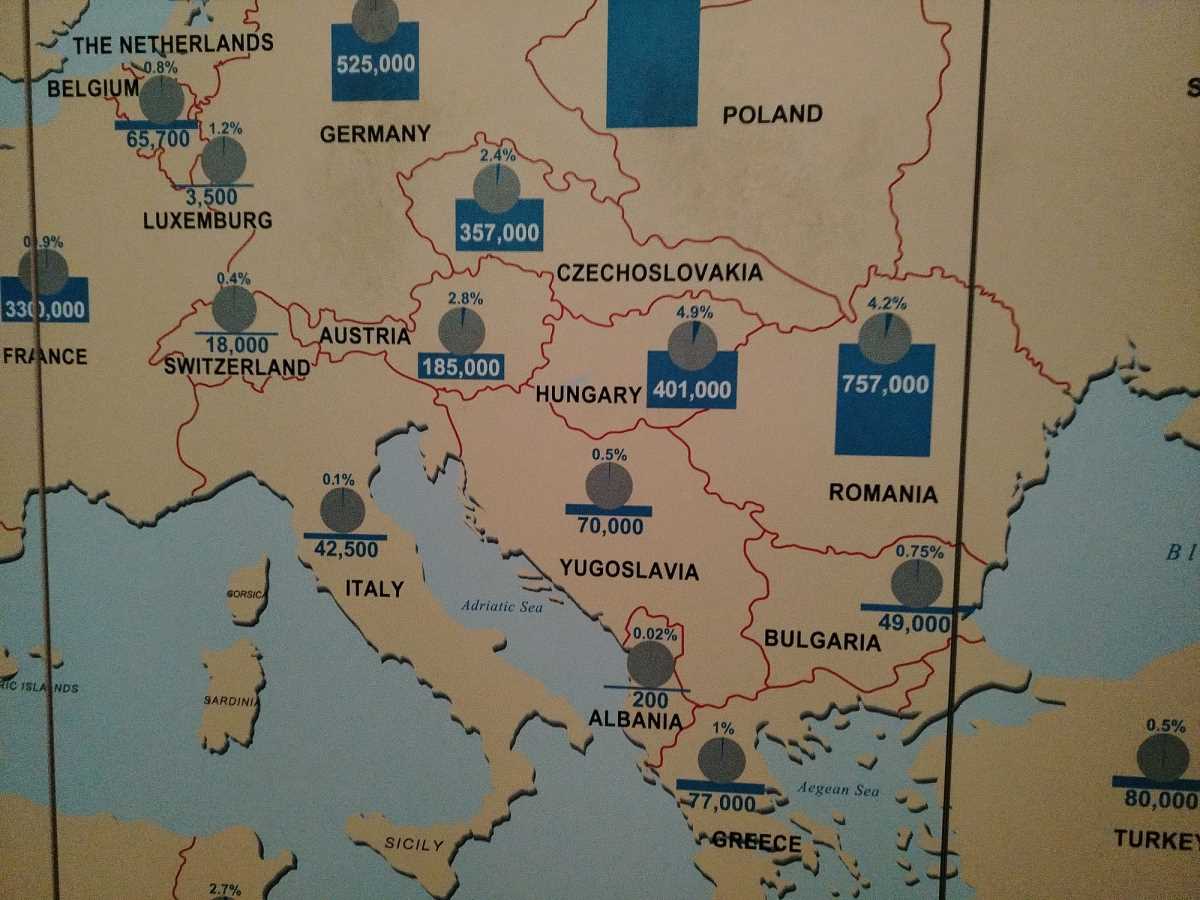 WhatsApp Image 2025-05-19 at 11.32.56 AM.jpeg