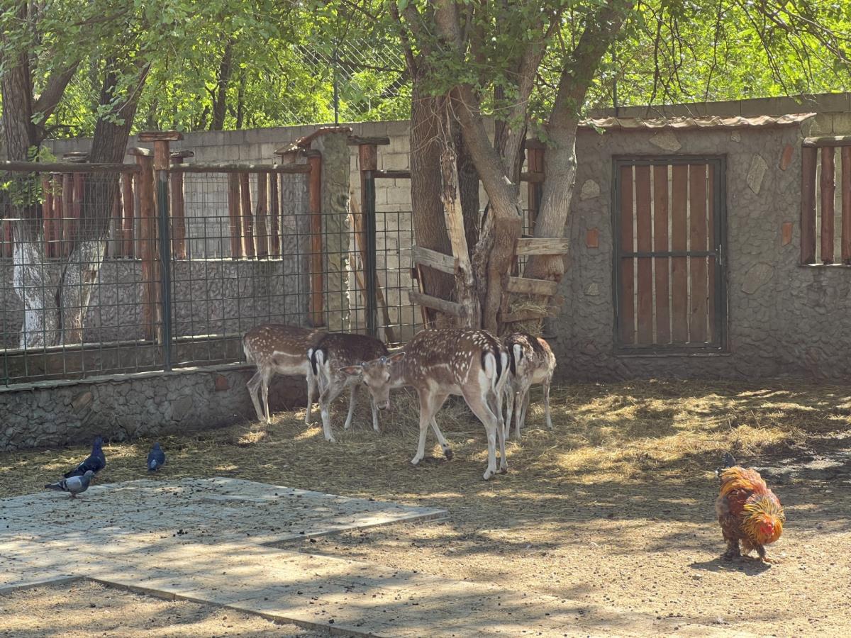 Eko farma Kladovo3.jpg