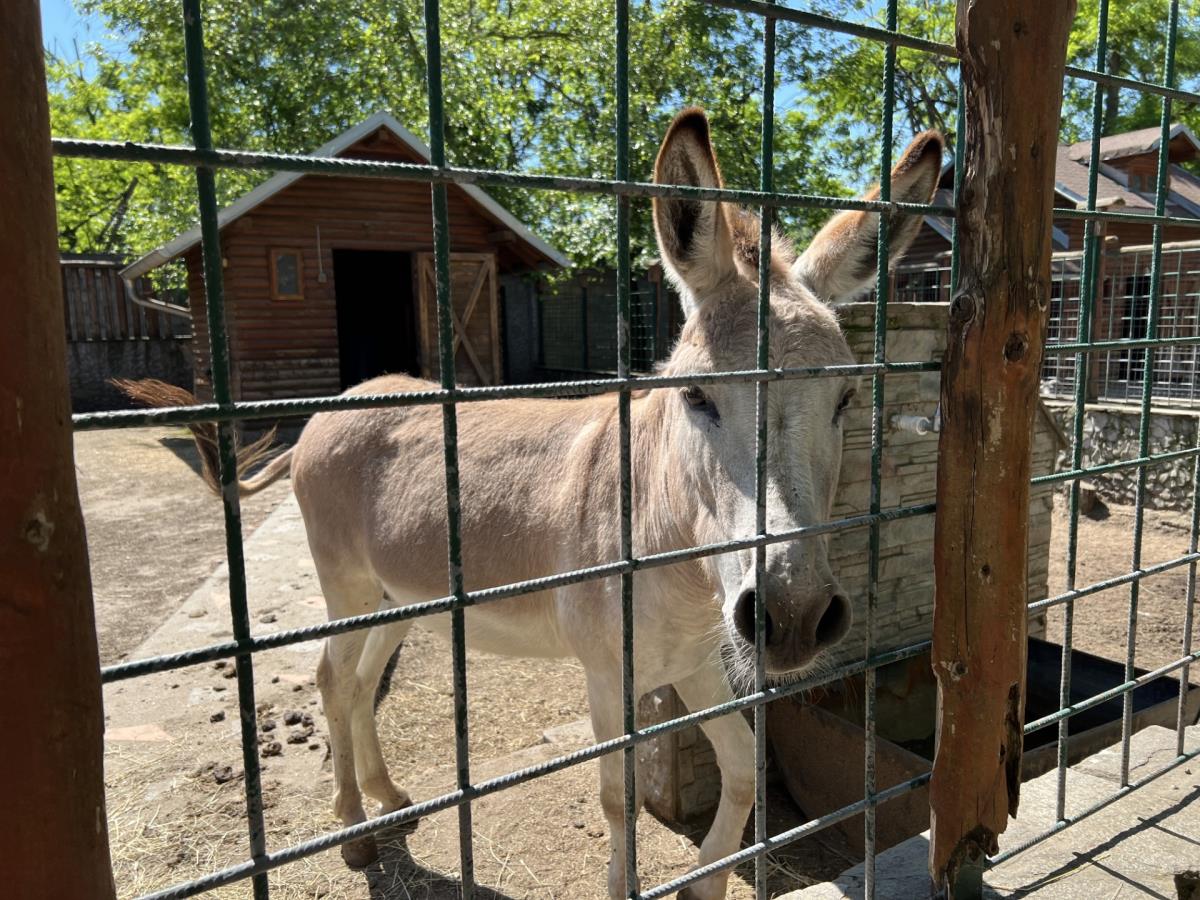 Eko farma Kladovo4.jpg