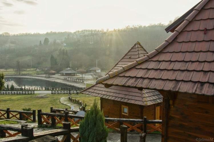 Koštunići (Marina Mirković).jpg