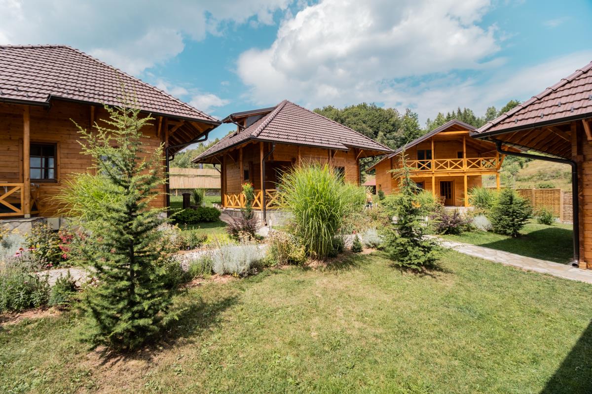 Kedar eko selo(Jovan Savić).jpg