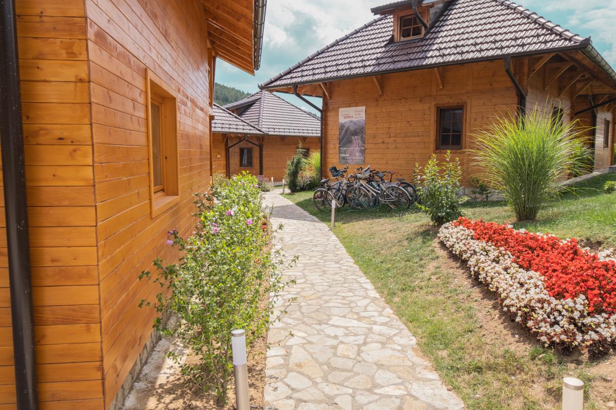 Kedar1 (Jovan Savić).jpg