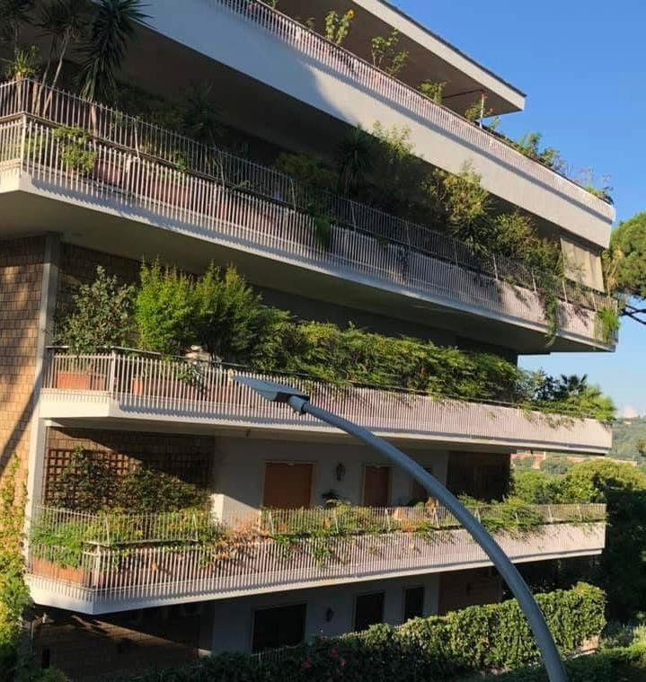 WhatsApp Image 2025-05-19 at 2.41.05 PM.jpeg