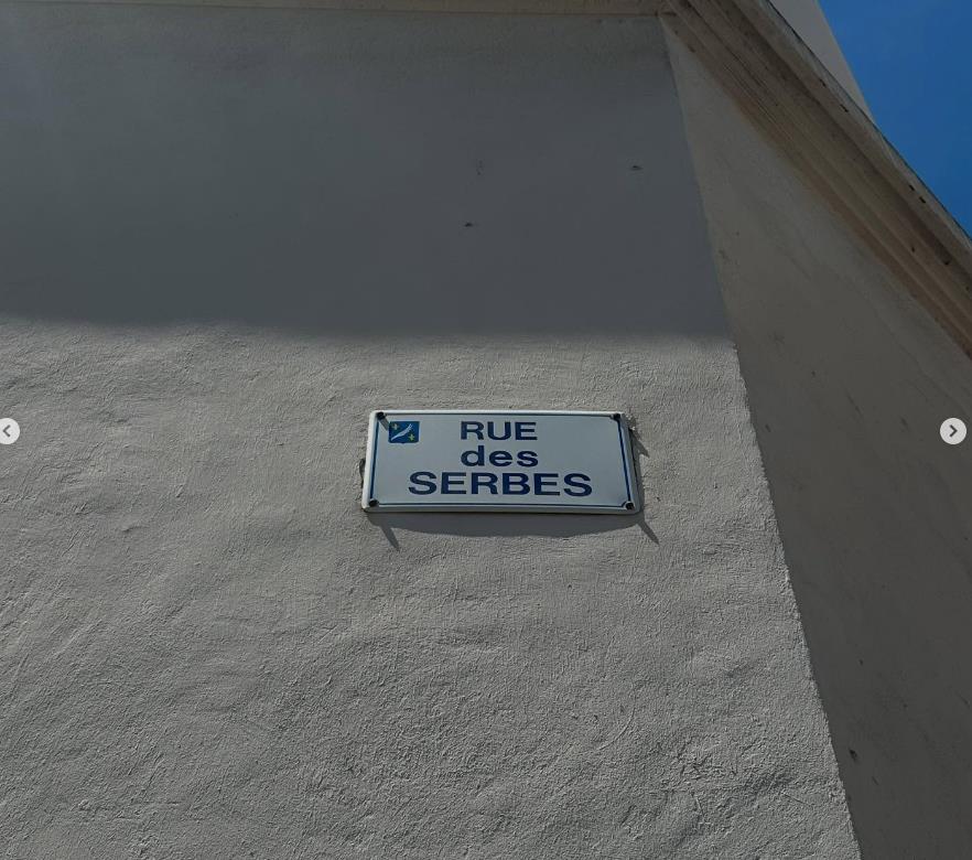 Anica Lazić i Lazar Ristovski 11.png