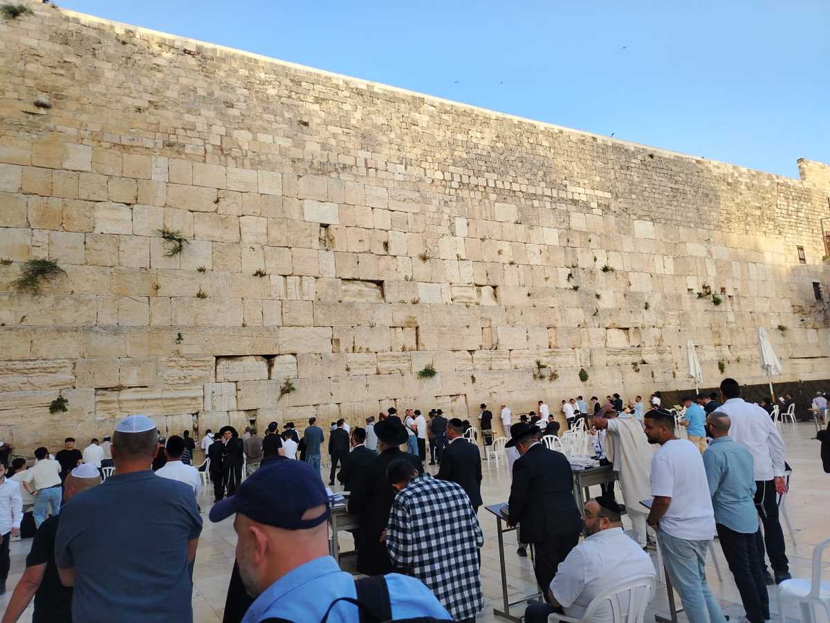 WhatsApp Image 2025-05-20 at 7.15.09 AM.jpeg