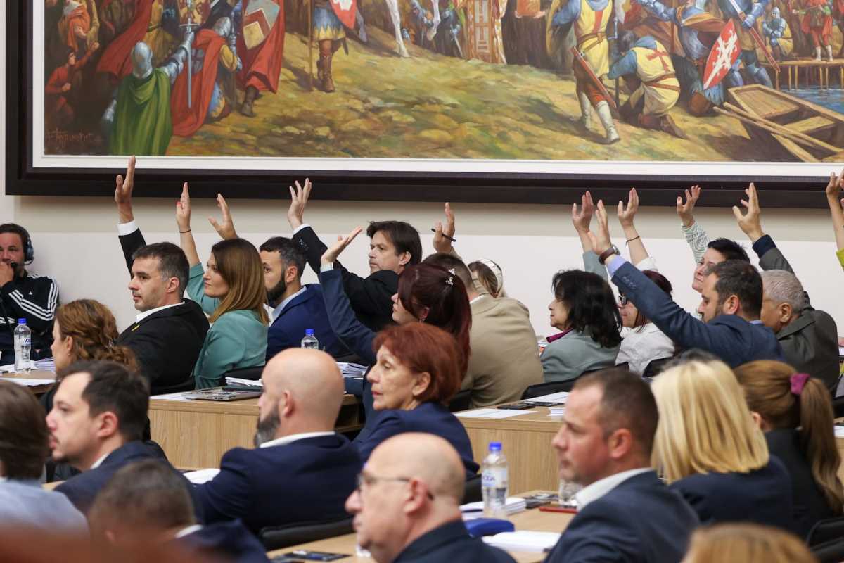 WhatsApp Image 2025-05-20 at 10.15.50 AM (2).jpeg