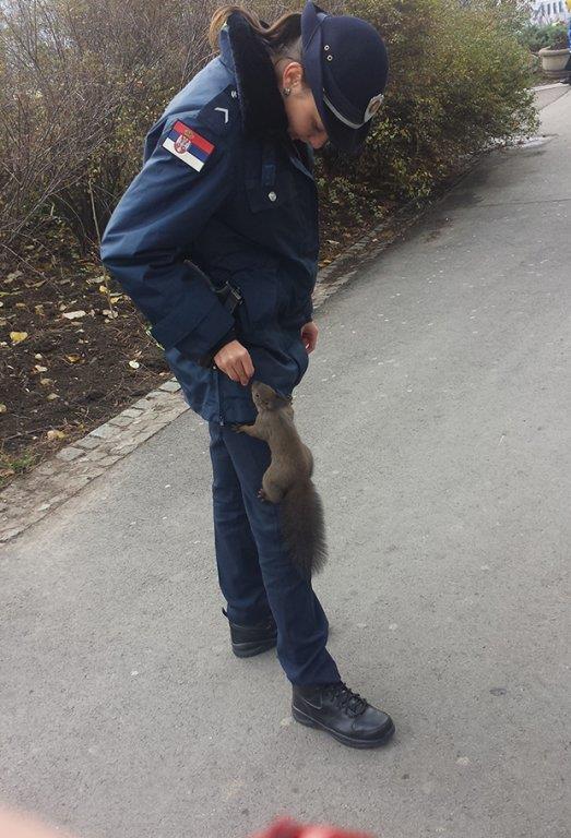 policajci-i-veverica.jpg