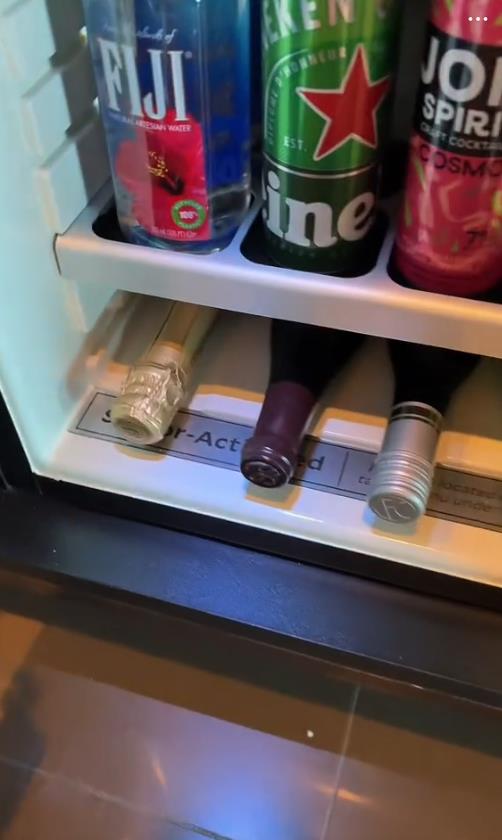 aleksija maler 2.png