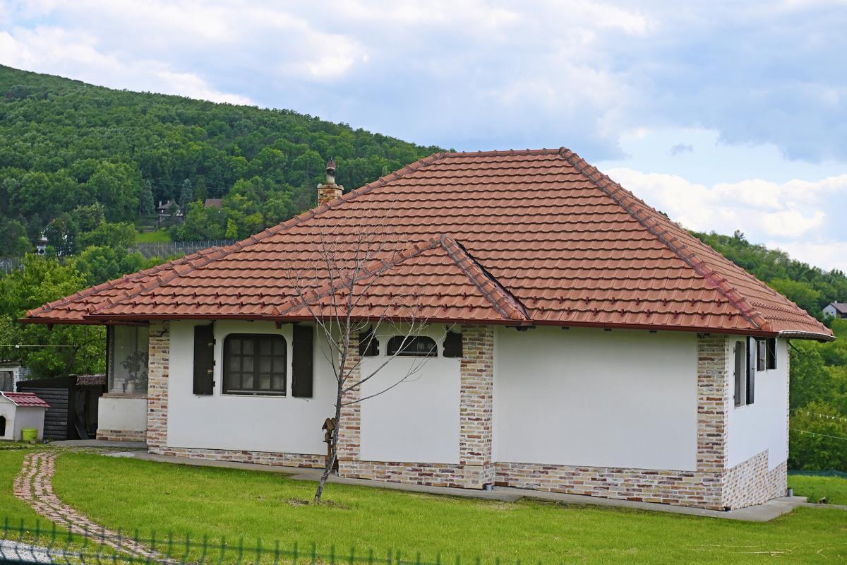 marko karovic (1).jpeg