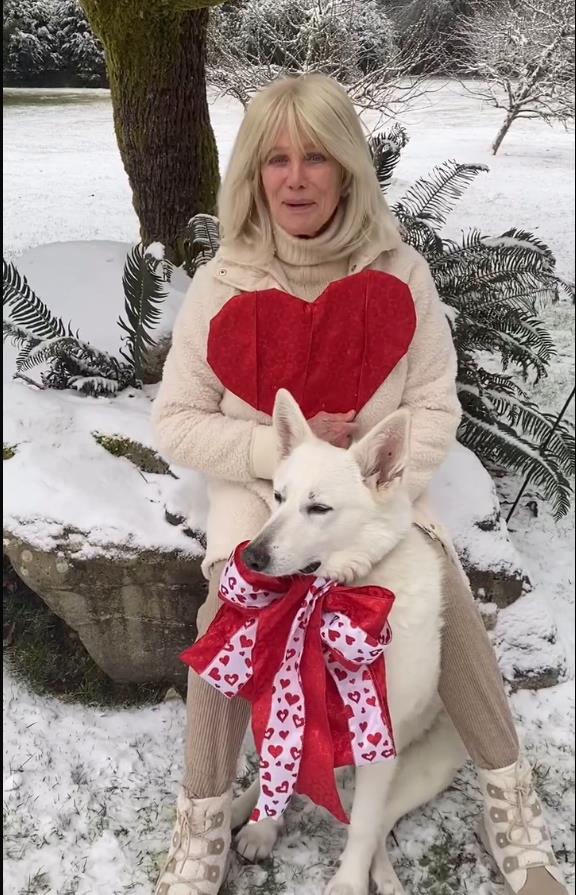 Screenshot 2025-05-20 152051.png