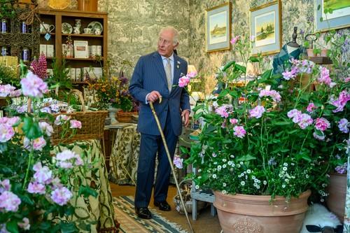 kralj čarls profimedia-1001382745.jpg