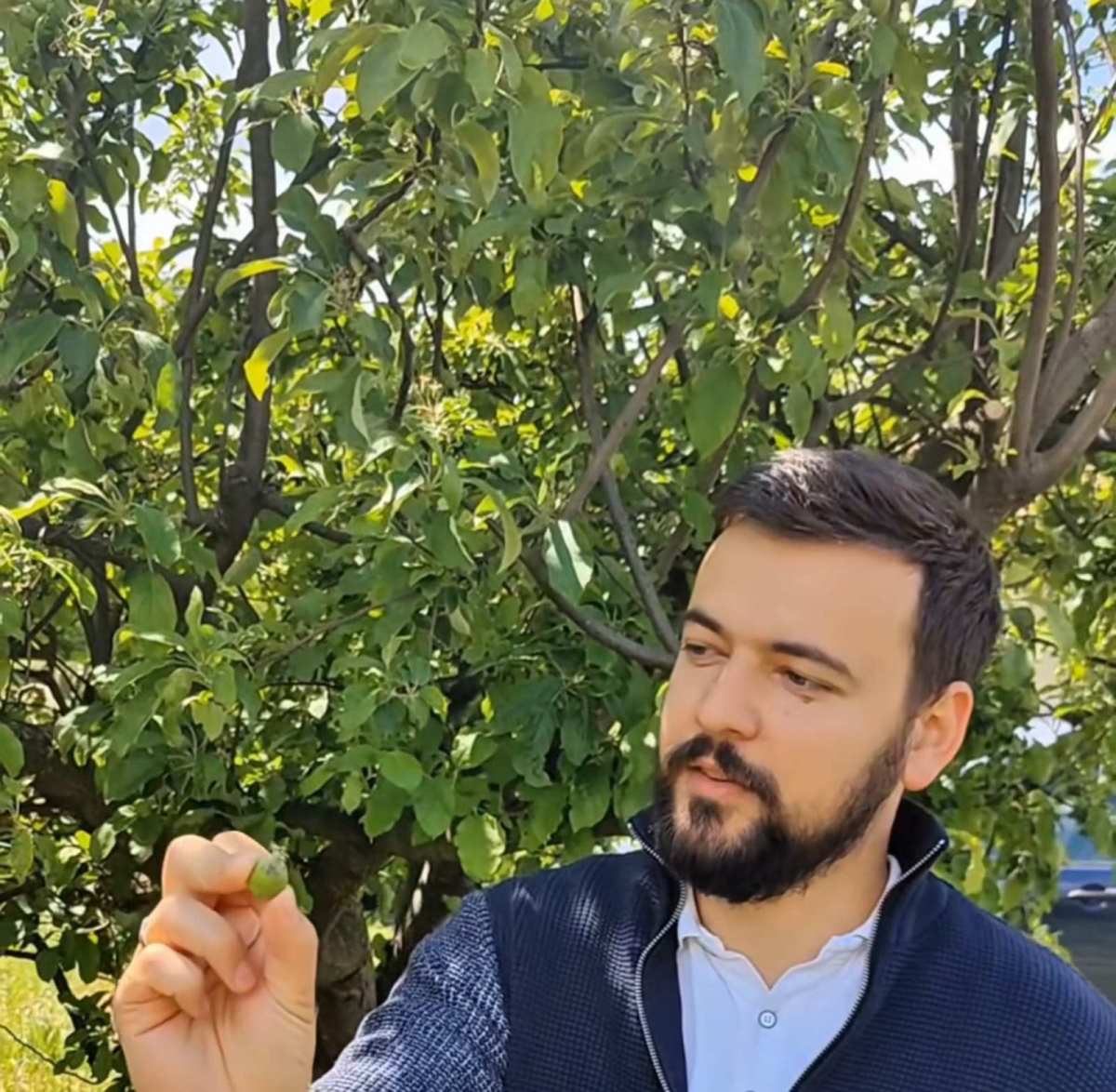 viber_slika_2025-05-21_13-46-18-105.jpg