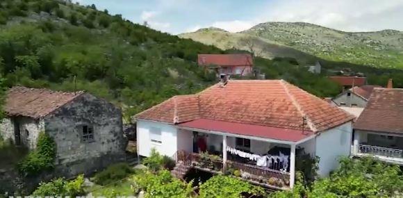 Sonja Mirotić 5.jpg