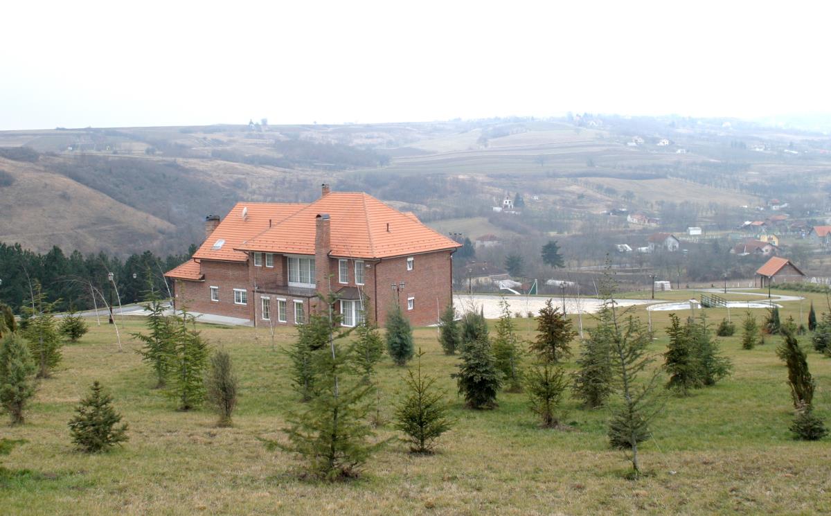 Damir Dokic vrdnik (29).jpg