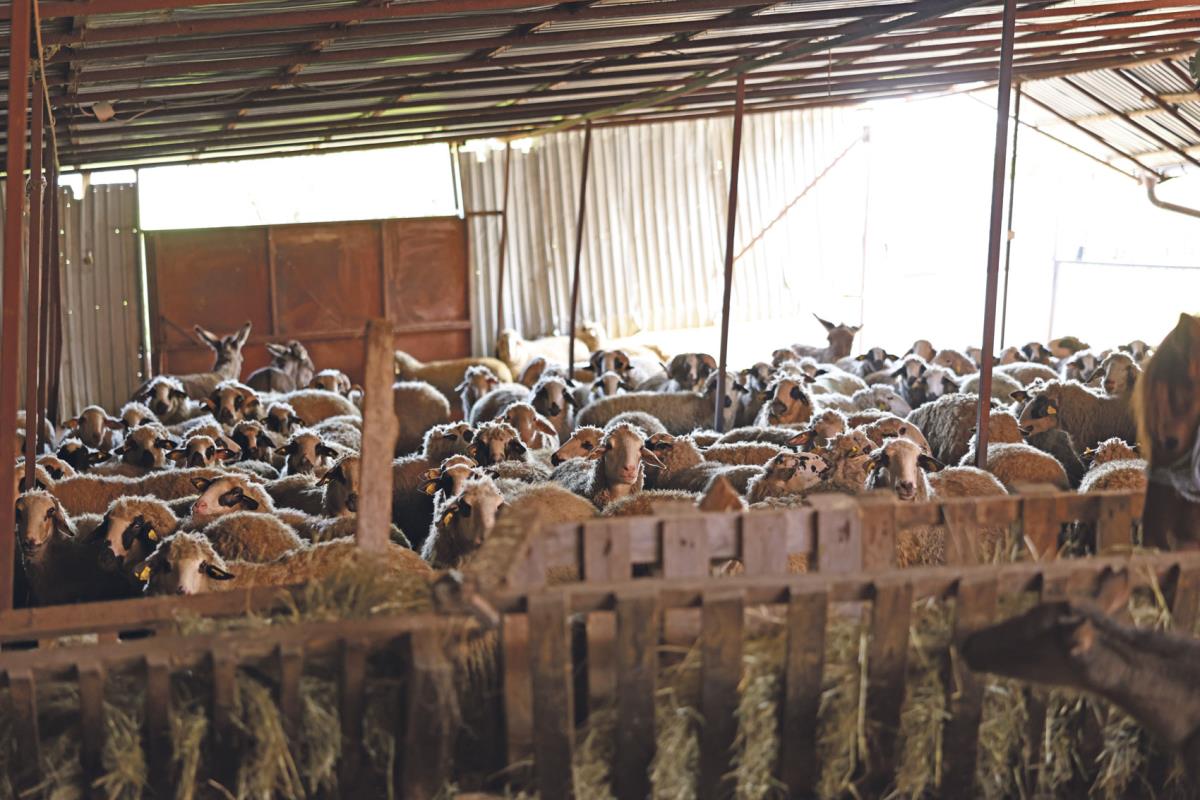 narodna kuhinja_5.jpg