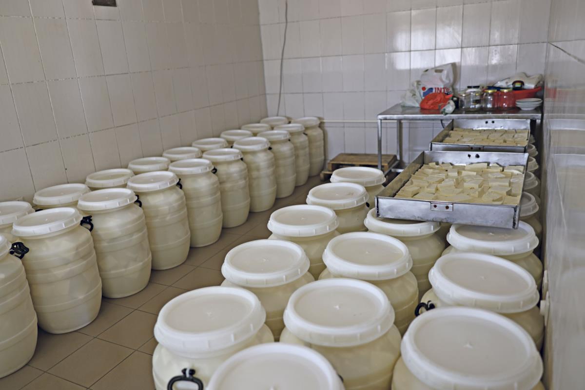 narodna kuhinja_14.jpg