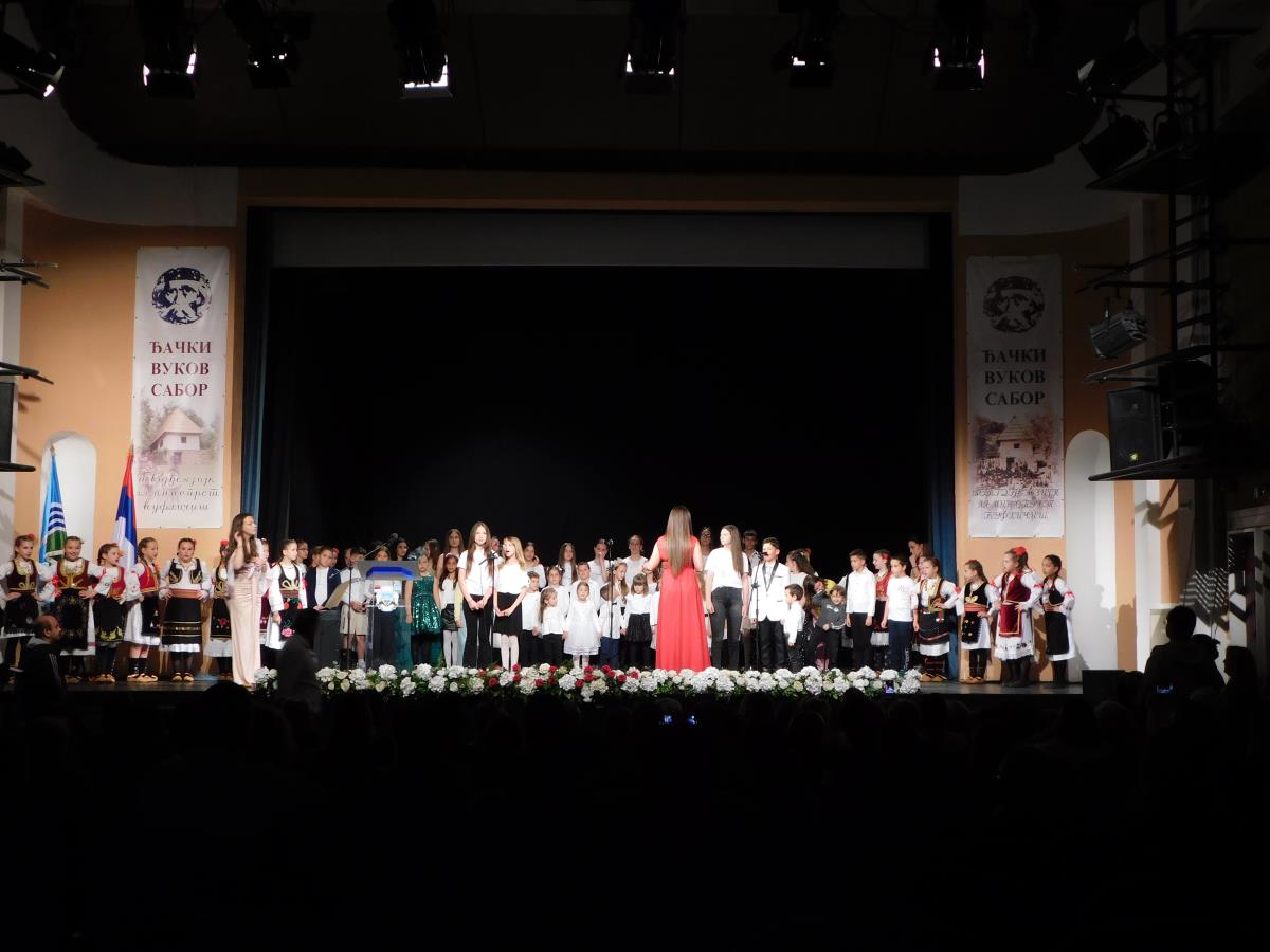 LOZNICA - Mnogo učesnika.JPG