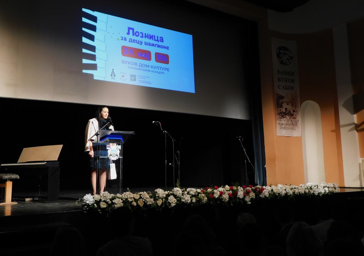 LOZNICA - U Vukovom domu kulture.JPG