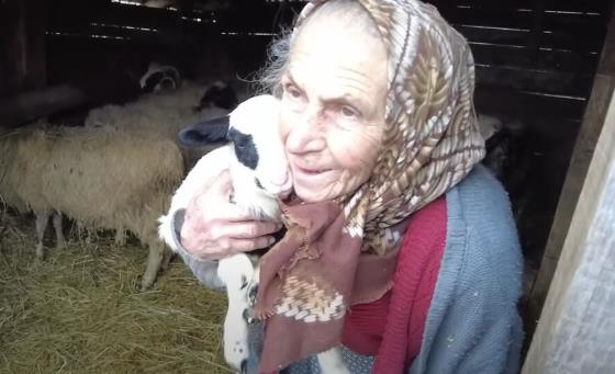 Džemila Beganović 6.png