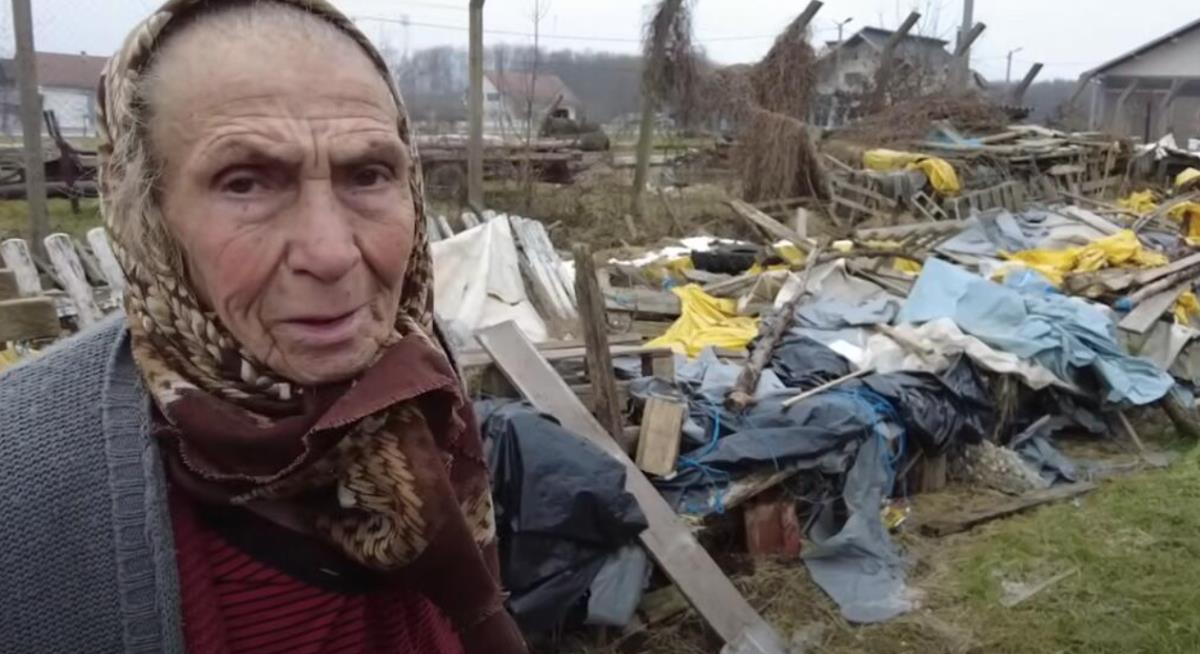 Džemila Beganović 2.png