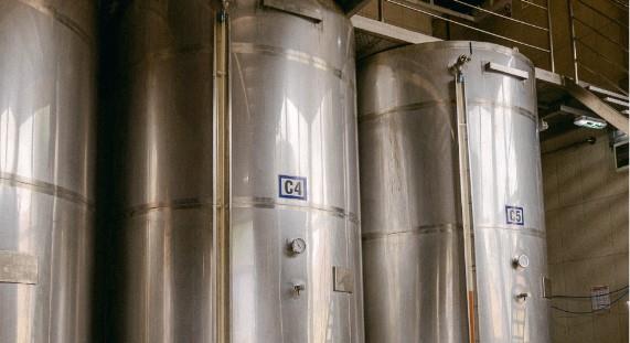 Adrijana Mesarovic 4.jpg