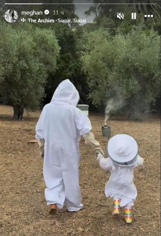 Screenshot 2025-05-27 105306.png