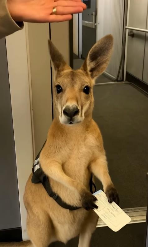 Screenshot 2025-05-28 195551.png