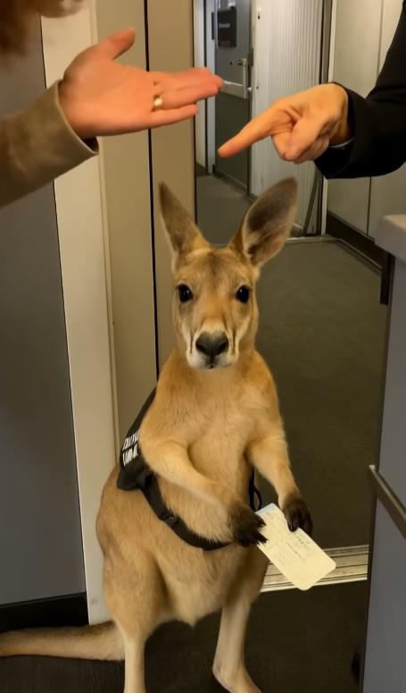 Screenshot 2025-05-28 195545.png