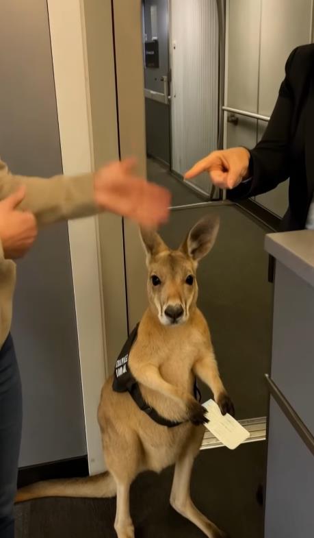 Screenshot 2025-05-28 195539.png