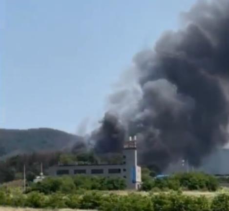 Screenshot 2025-05-29 085417.png