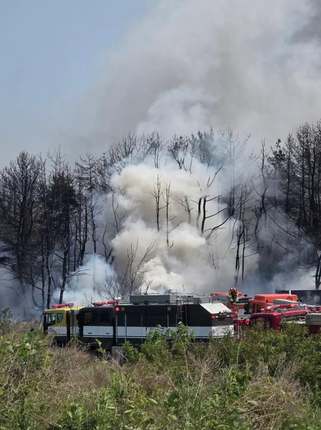 Screenshot 2025-05-29 085559.png