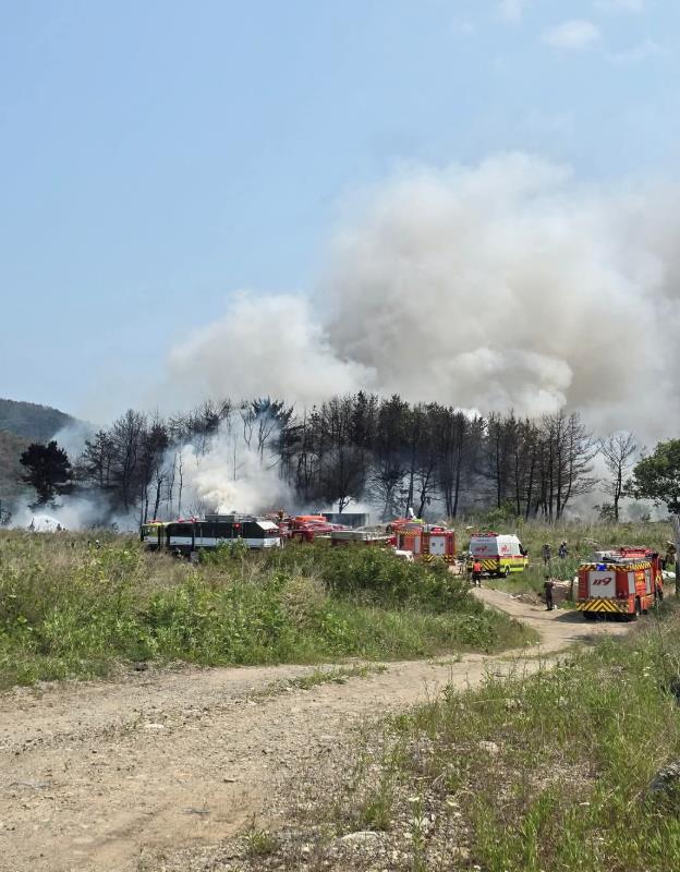 Screenshot 2025-05-29 085605.png