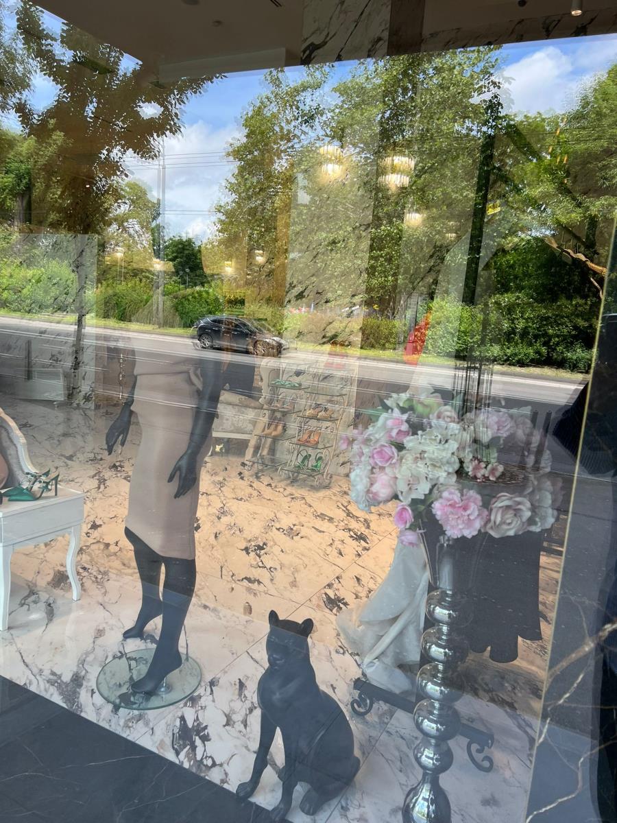 Lažni sjaj Dijane Dilajn! Kurir zavirio u njene račune