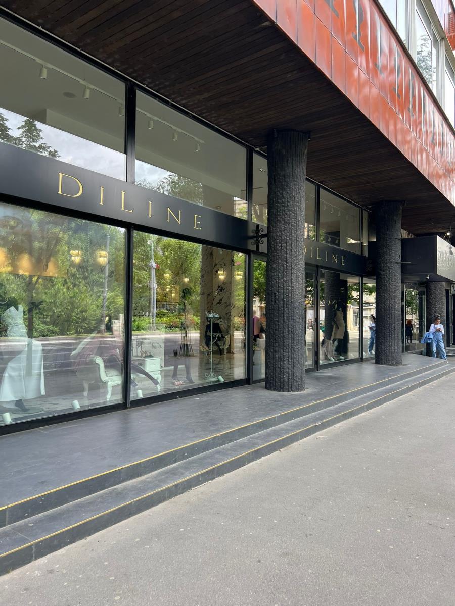 Lažni sjaj Dijane Dilajn! Kurir zavirio u njene račune