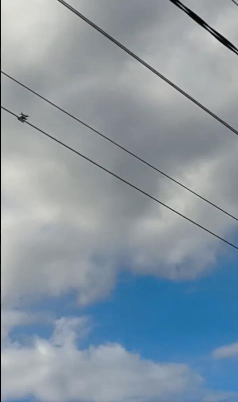 Screenshot 2025-06-01 134225.png