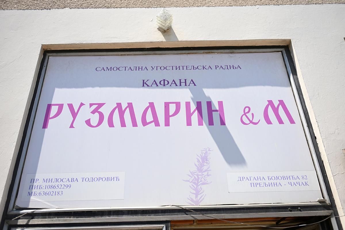 Dobrivoje Topalovic, Preljina (2).jpeg