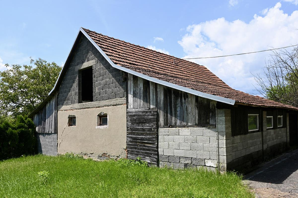 Dobrivoje Topalovic, Preljina (4).jpeg