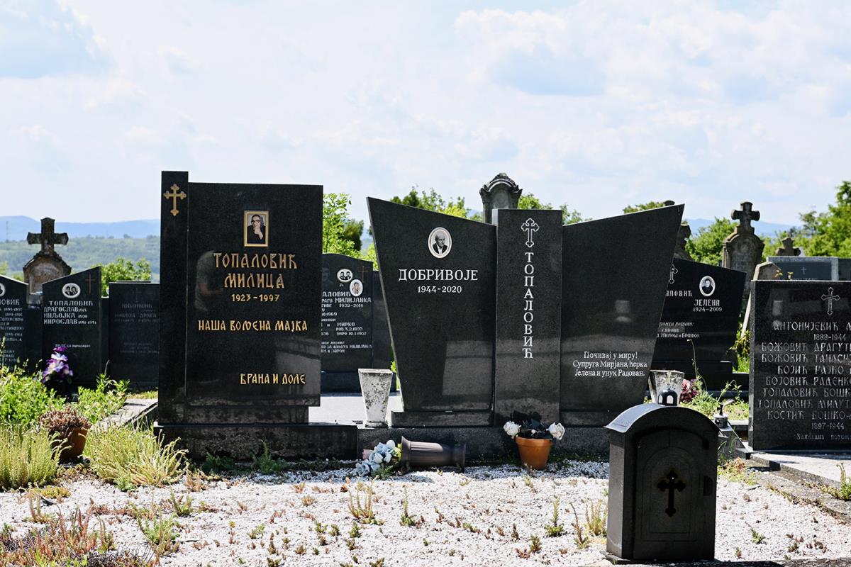 Dobrivoje Topalovic, Preljina (15).jpeg