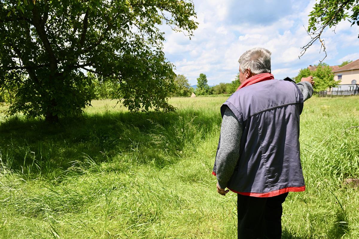 Dobrivoje Topalovic, Preljina (23).jpeg