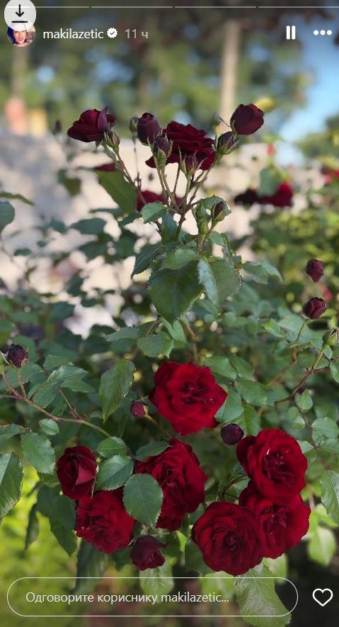 2025-06-03 11_07_02-Приче • Instagram.jpg