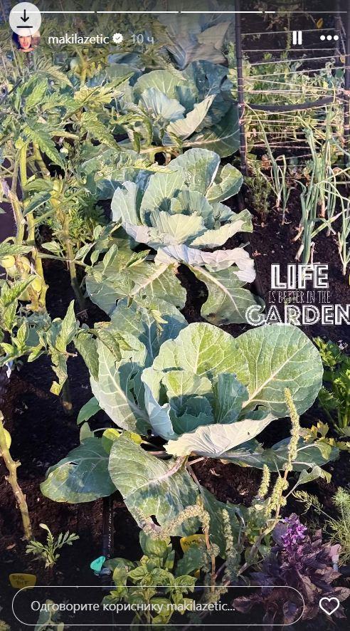 2025-06-03 11_07_21-Приче • Instagram.jpg