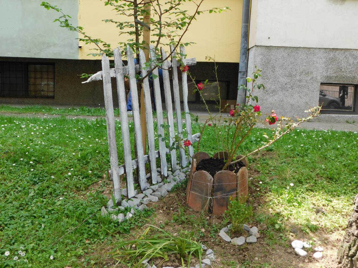 LOZNICA - Taraba i ruže.jpg